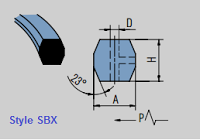 Style SBX Ring-Joint Gasket